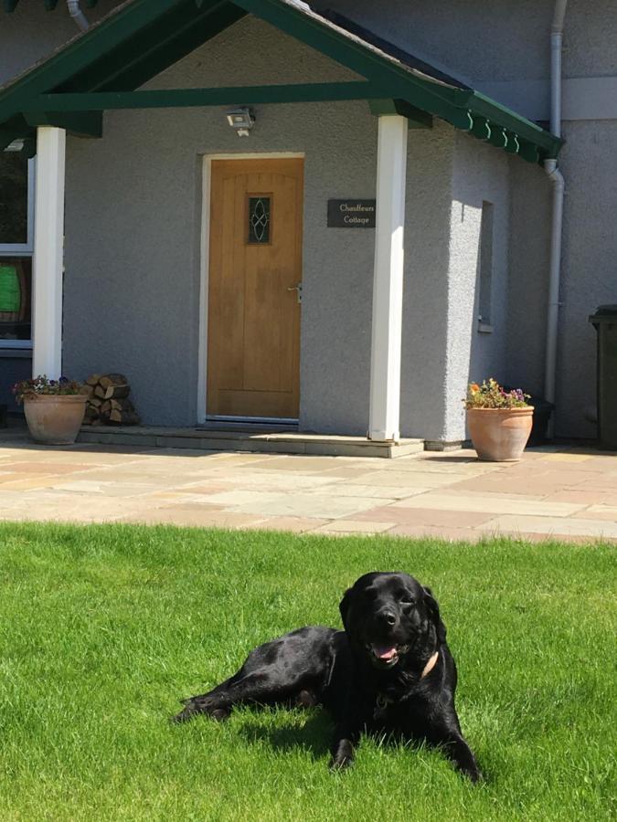 Chauffeur'S Cottage With Hot Tub Cray (Perthshire) Exterior foto